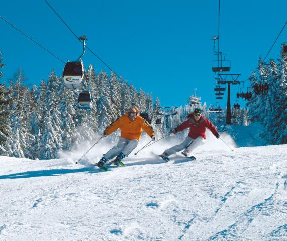 Cazare gratis in taberele de iarna. Doar pentru studentii integralisti!