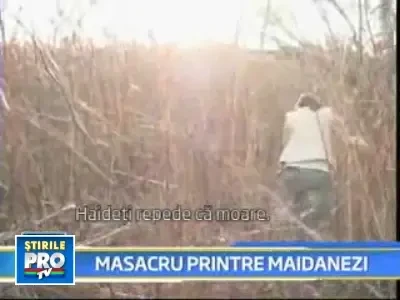 Peisaj sinistru la Craiova si Motru. Zeci de caini gasiti morti pe strazi