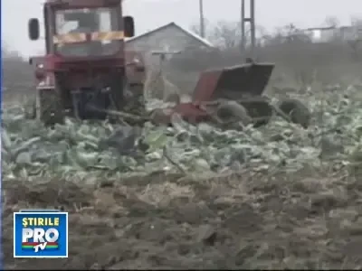 Afacerile cu fier vechi, falimetare