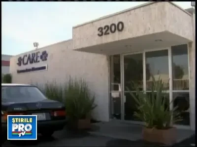 Ti-ai urca pisica pe banda de alergat?