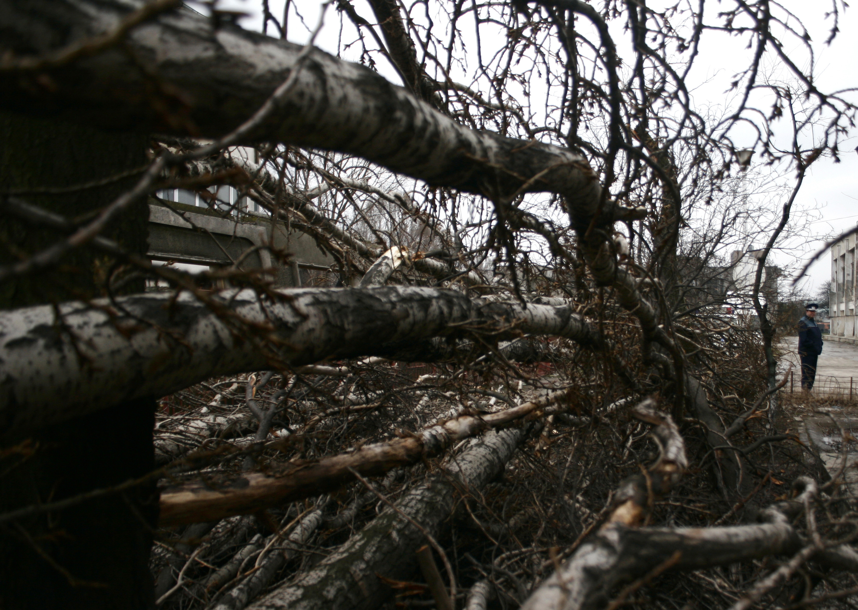 Vantul face ravagii la Sibiu! Zeci de masini avariate