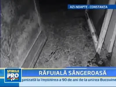 Baie de sange in centrul Constantei!