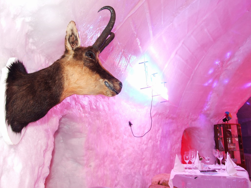 Galerie FOTO. Un hotel romanesc inedit, laudat si recomandat in presa straina pentru Sarbatori