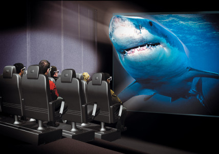 Senzatii tari la cinematograful 3D din Bran