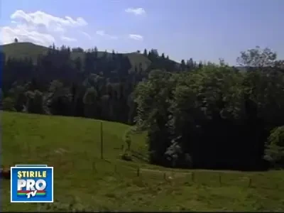 Branza, arma elvetienilor in recesiunea economica!