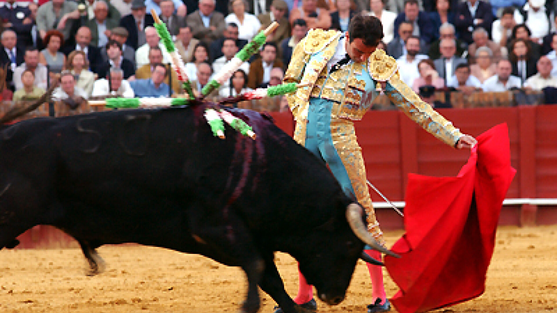 1 Decembrie: O romanca face haine de toreador in Spania