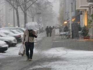 Iarna in vestul Europei! Peisaje idilice, dar si probleme pentru autoritati