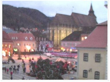 Bradul din Brasov s-a prabusit