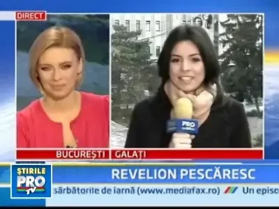 Ce-ati zice de un Revelion in Delta?