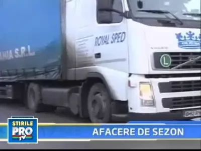 Craciun in pas cu moda! La Harghita se vand braduti ecologici!