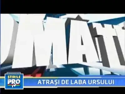 Romania, te iubesc! Ursii din Romania, delicatese pentru straini