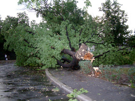 O vijelie de cinci minute a declansat haosul in Capitala