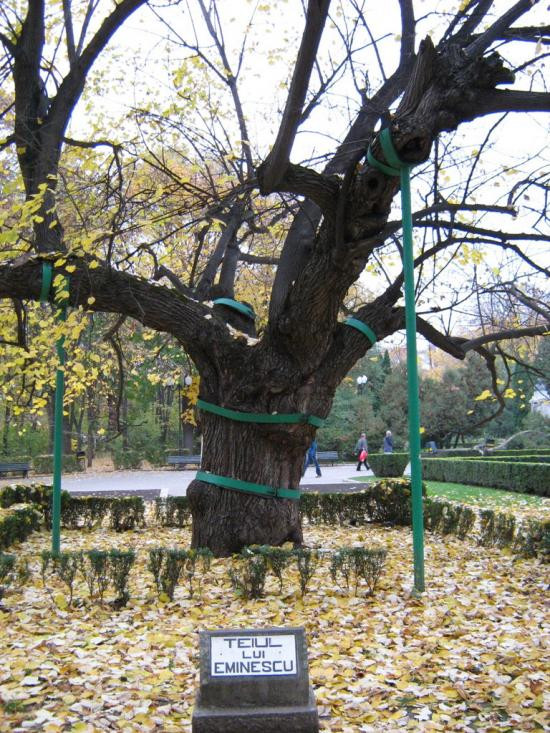 Iesenii sunt mai aproape de... Hollywood