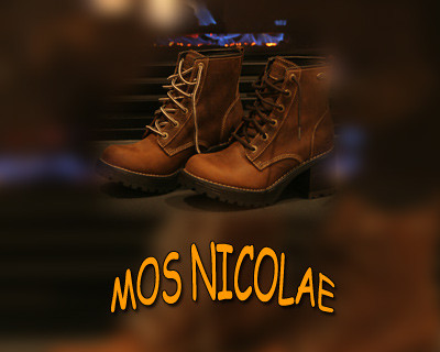 Portret: Votati Mos Nicolae?