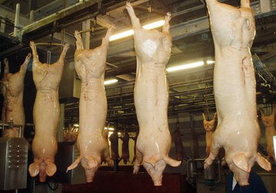 Romania nu a importat carne infestata cu dioxina din Irlanda!