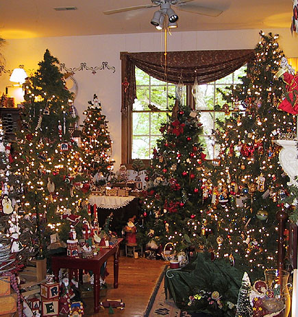 Faceti cunostinta cu Regina brazilor! Are acasa 37 de pomi de Craciun