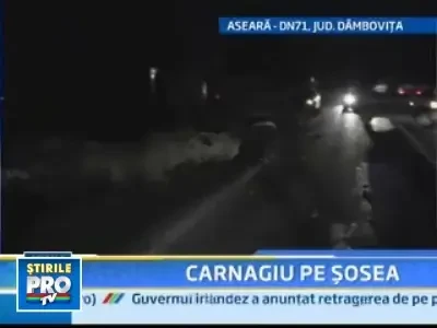 15 oi au murit dupa ce o masina a intrat intr-o turma nesemnalizata