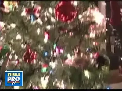 Faceti cunostinta cu Regina brazilor! Are acasa 37 de pomi de Craciun