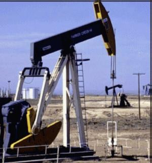 Politistii le-au dat planurile peste cap! Hoti de titei, prinsi in flagrant