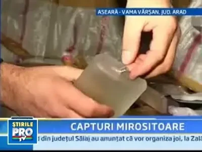Parfumuri de contrabanda si porci confiscati la Vama Varsand