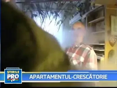 500 de papagali intr-un apartament de doua camere din Berlin