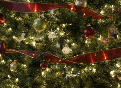 Craciunul bate la usa! Tu ce cumperi: brad romanesc sau brad de import?