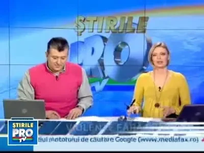 Doi pui de leu albi fac senzatie la gradina zoologica din Belgrad