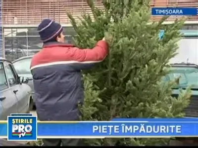 Craciunul bate la usa! Tu ce cumperi: brad romanesc sau brad de import?