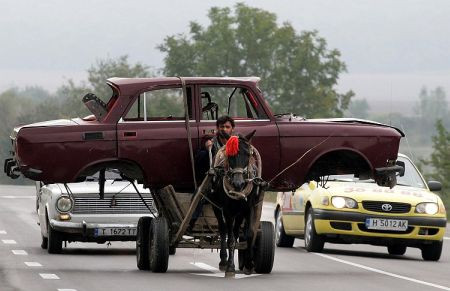 Romania, tara nepasarii. Zeci de animale mor zilnic pe sosele din tara