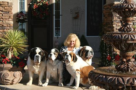 Viata de caine! Bai in piscina, acupunctura si masaj