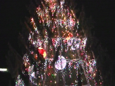 Brasovul are in sfarsit brad de Craciun! Impodobit, bineinteles!