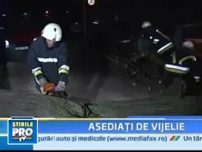 Vantul a luat-o razna! Cad copaci in Bucuresti