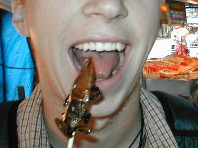 Nu stiti ce sa puneti pe masa de Craciun? Ce ziceti de niste gandaci?