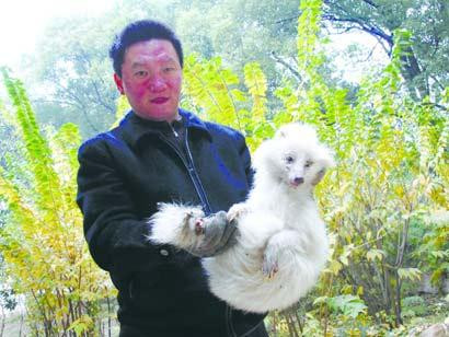 Catel sau vulpe. Tu ce crezi ca este?