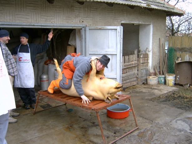 Ignatul la romani: demonstratie de gratie si rafinament