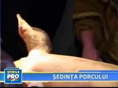Petrecere de pomina la Busteni: primarul si consilierii la pomana porcului!