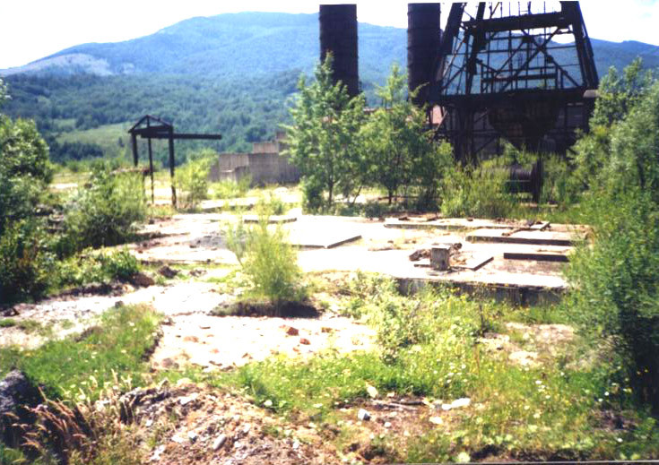 Un barbat mort si unul grav ranit! Erau la furat de fier vechi