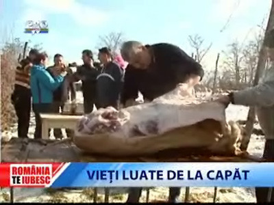 Romania, te iubesc!: Vieti luate de la capat