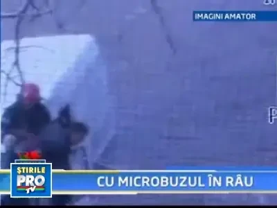 Cat pe ce sa moara dupa ce s-a prabusit in Mures de la 4 metri inaltime!