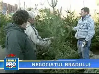 Pretul bradului, ales in functie de client! Vezi cum poti sa iesi in castig