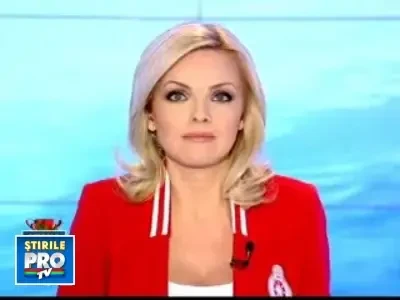 Un hot de masini a fost dat de gol de un tantar, in Finlanda!