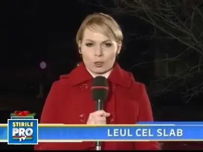 Euro a atins cel mai ridicat nivel din ultimii patru ani: 3,9649 lei!