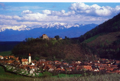 Tot mai multi straini vor sa fie "badea"!