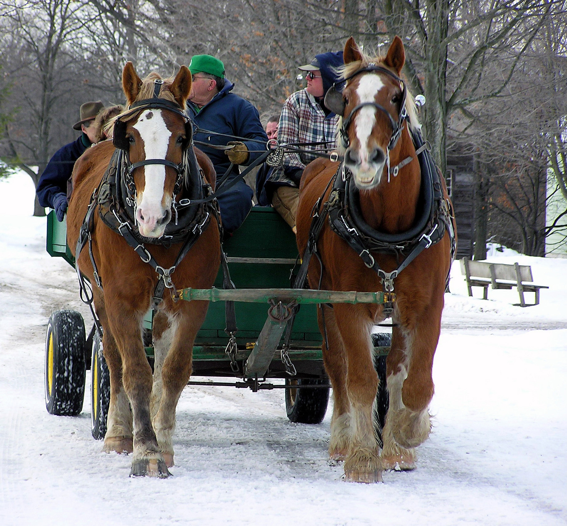 Revelion traditional la Marginimea Sibiului