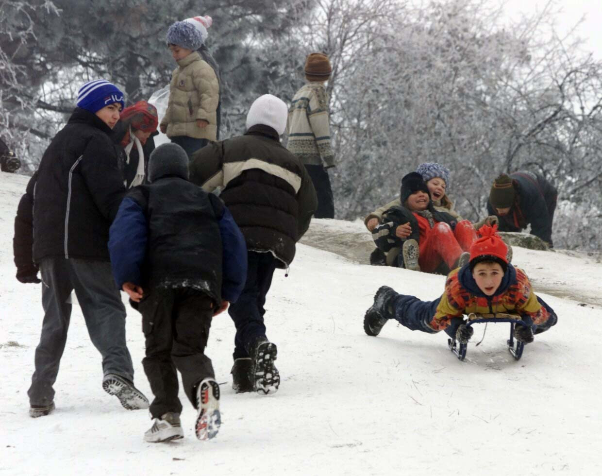Partieee! Concurs de sanii... cu volan