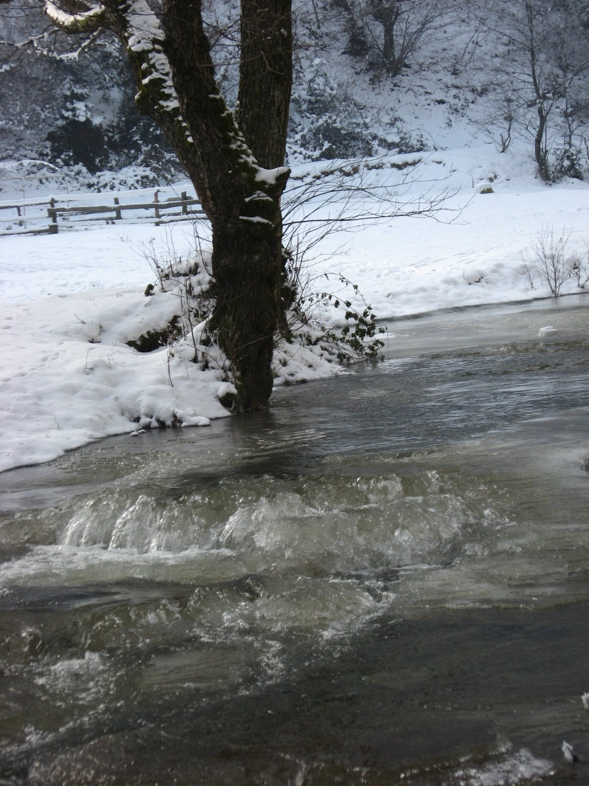 Copil de cinci ani, gasit mort intr-un parau