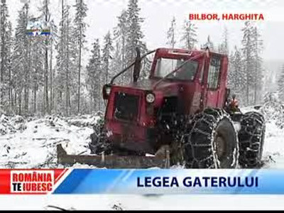 Romania, te iubesc: Padurea imputinata, taiata ca in codru