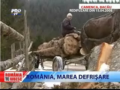 Romania, te iubesc! Marea defrisare: Camenca, Bacau