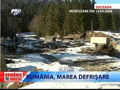 Romania, te iubesc! Marea defrisare in Suceava