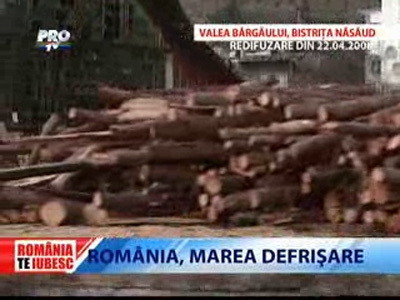Romania, te iubesc! Marea defrisare in Valea Bargaului, Bistrita Nasaud